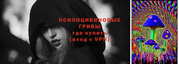 гидра Алзамай