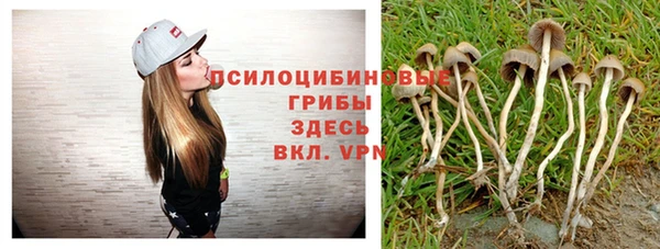 гидра Алзамай